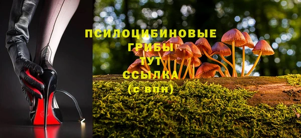 каннабис Белокуриха