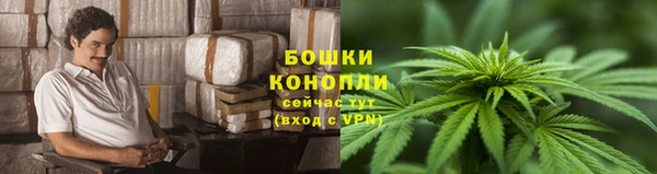 каннабис Белокуриха