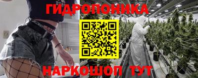 сатива Волгодонск