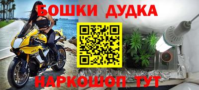 сатива Волгодонск