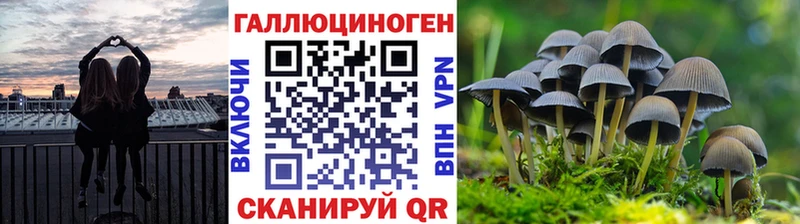 Псилоцибиновые грибы прущие грибы blacksprut как войти Острогожск закладка