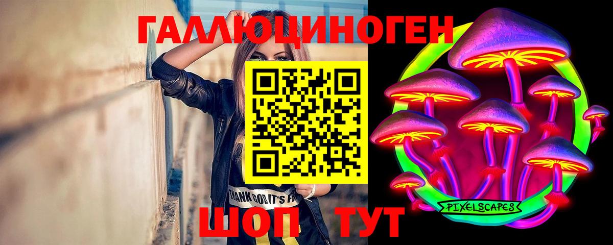 Острогожск  Псилоцибиновые грибы MAGIC MUSHROOMS  где продают   Псилоцибиновые грибы Cubensis  Вход с VPN 